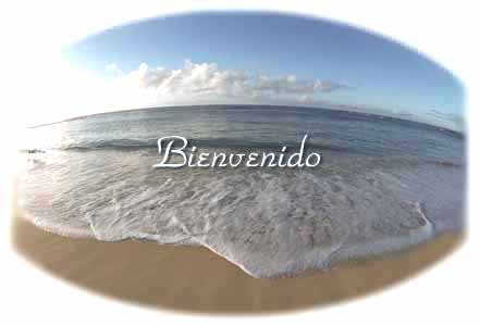 Bienvenido